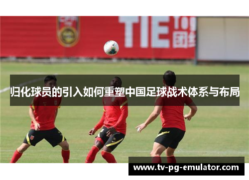 归化球员的引入如何重塑中国足球战术体系与布局