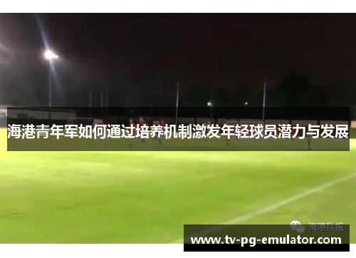 海港青年军如何通过培养机制激发年轻球员潜力与发展
