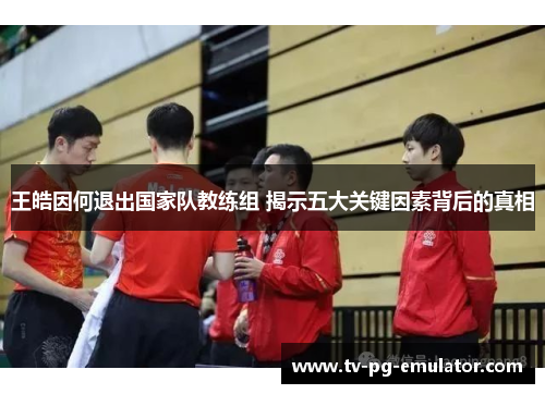 王皓因何退出国家队教练组 揭示五大关键因素背后的真相